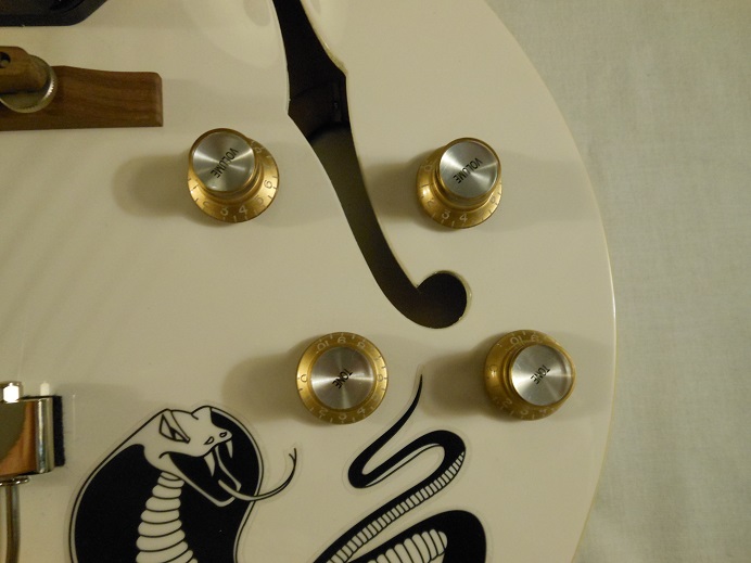 Limited Edition George Thorogood ES125TDC Picture 15